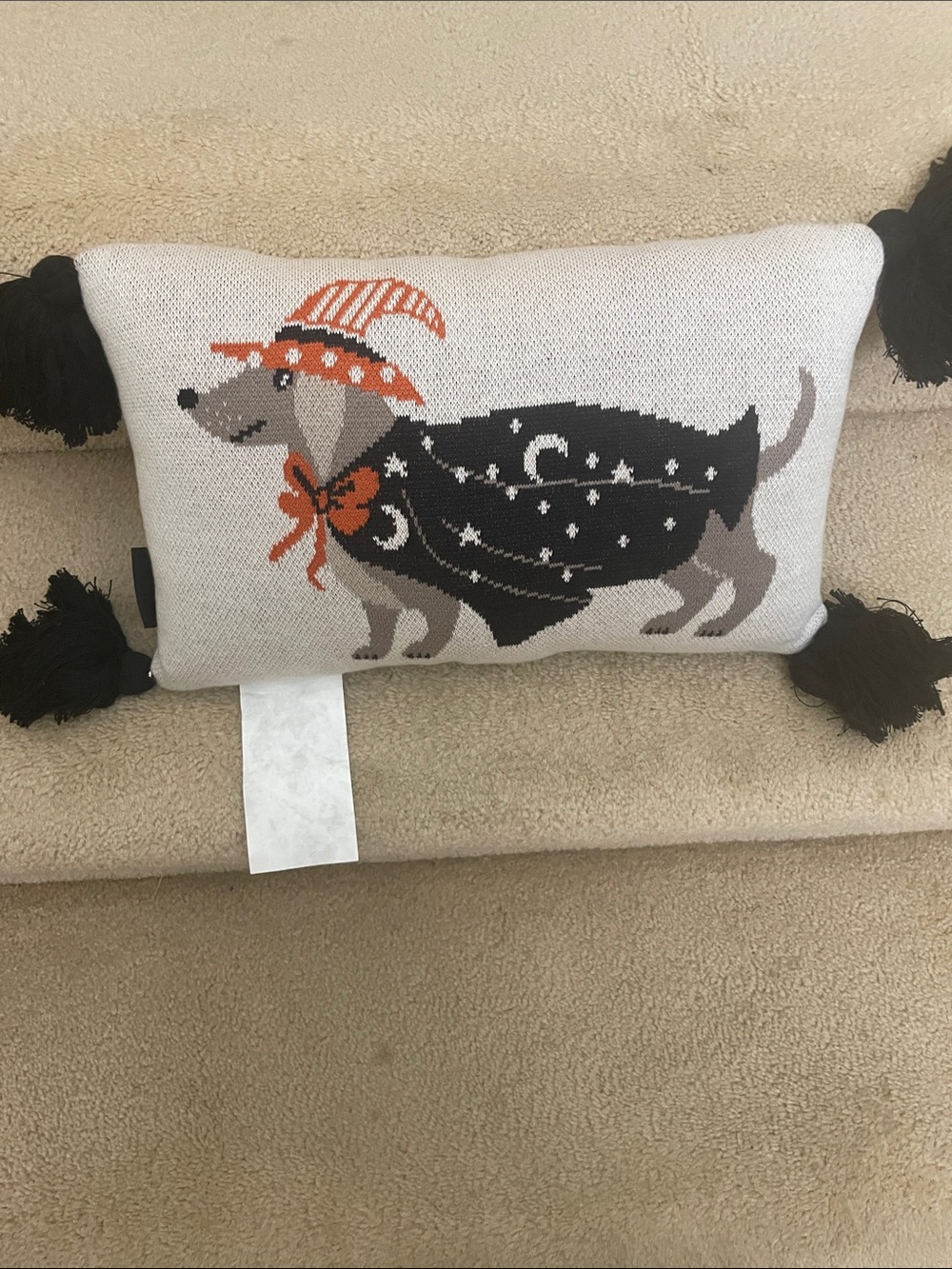 Charming Black & Cream Halloween Dachshund Decorative Pillow - - Picture 5 of 8